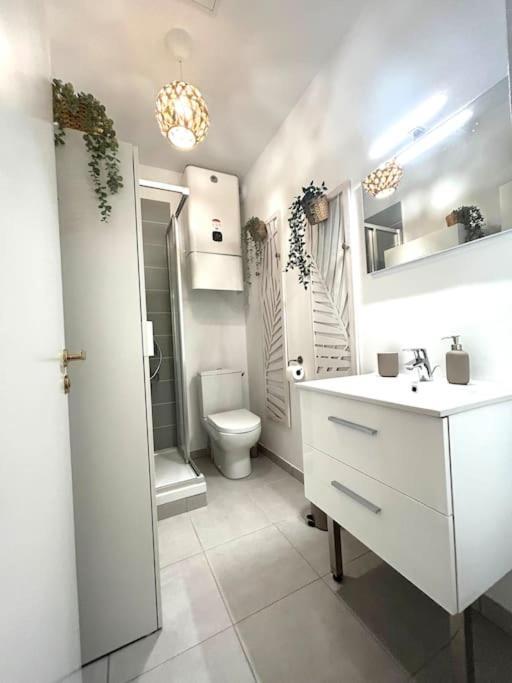 Studio Rose Poudre Centre Ville Тулуза Екстер'єр фото